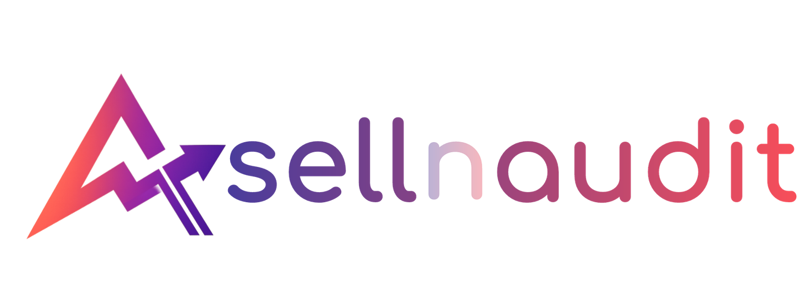 Sellnaudit